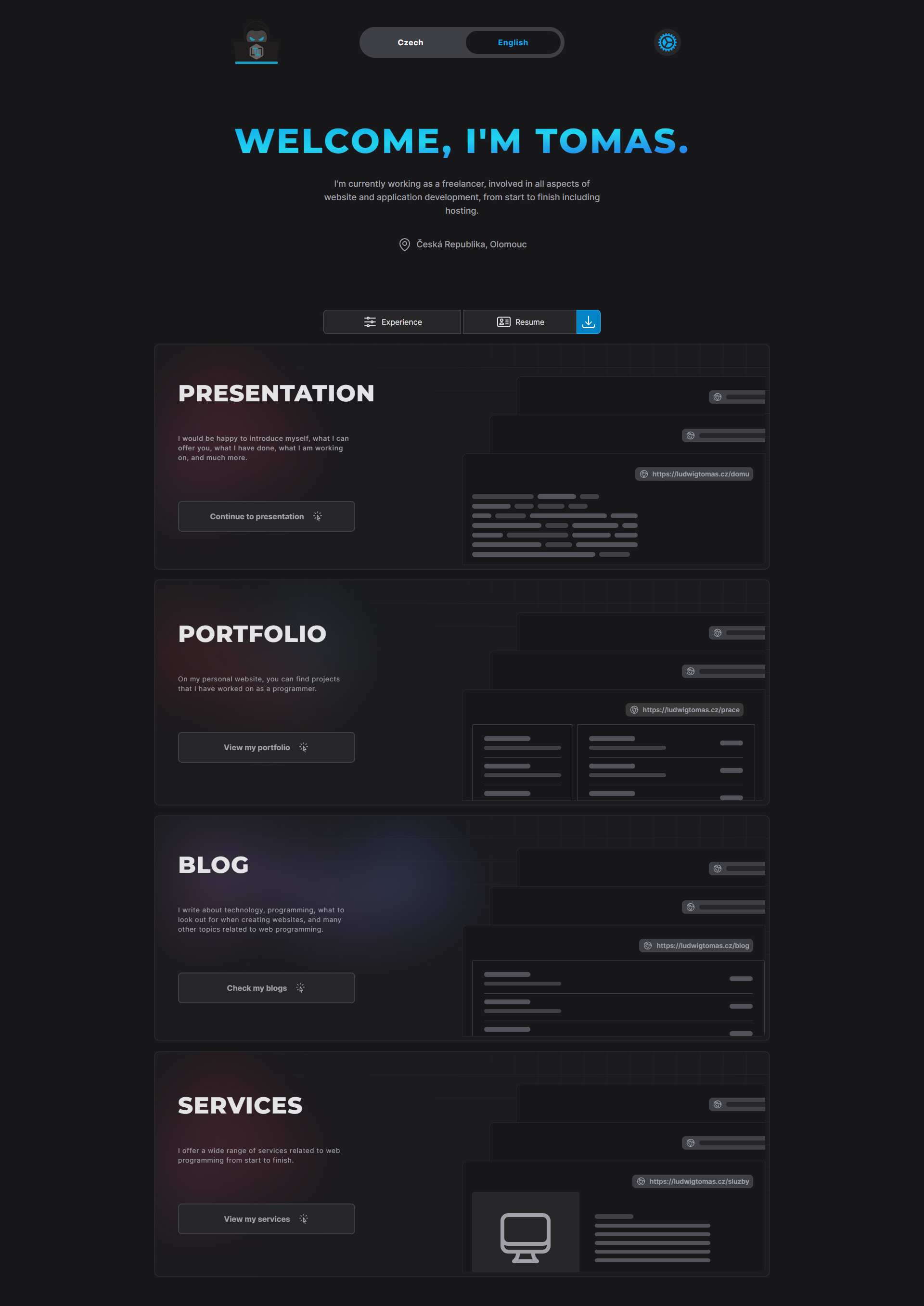 Ludwig Tomas - fullstack developer design inertiajs laravel tailwindcss ui vuejs