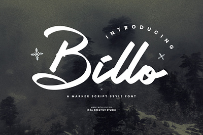 Billo – A Marker Script Style Font organic