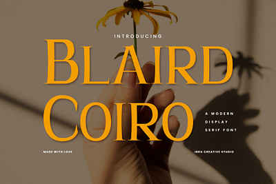 Blaird Coiro – A Modern Display Serif Font blaird coiro font