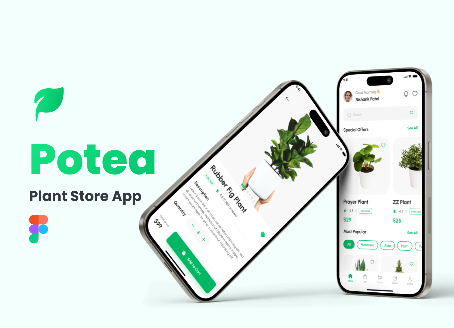 Plant Store App branding plant plant store plant store app ui