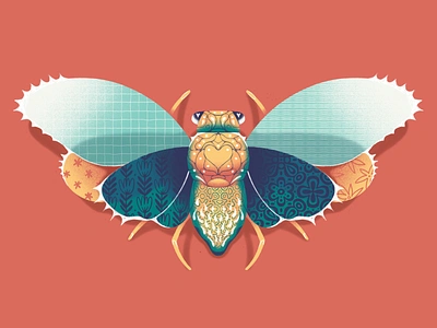 Quilted cicada bug cicada illustration insect procreate texture wings