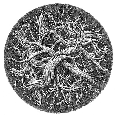 Mandala art artist artwork design drawing hand drawn illustration ink nature plants trees
