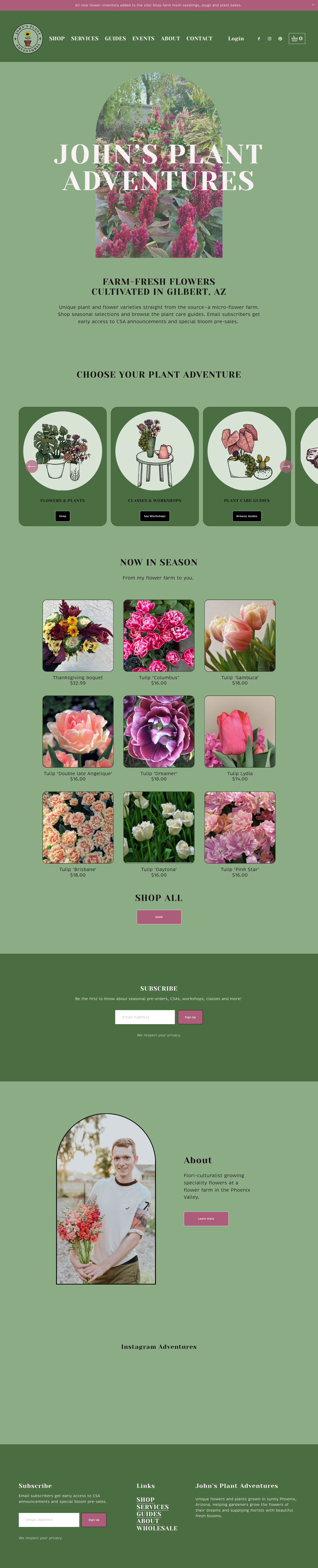 John's Plant Adventures e commerce squarespace visual design