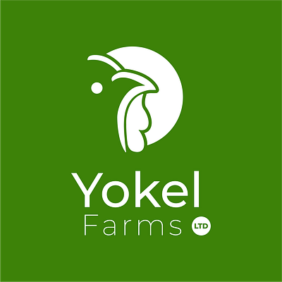 Yokel Farms Logo Design branding graphic design logo