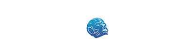 Persona VR Toolkit 3d branding graphic design logo ui