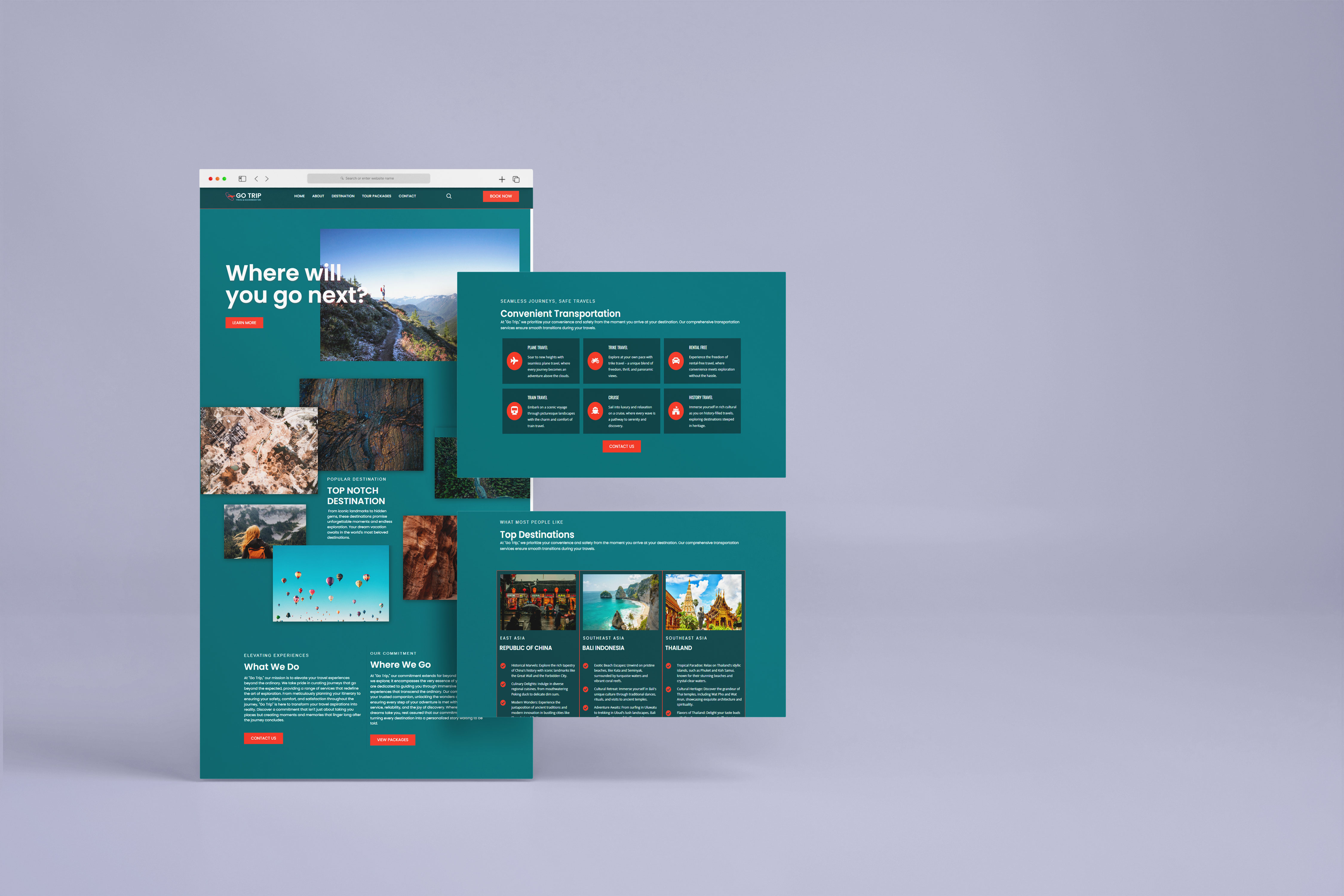 Example of Custom Word Press Website (Non Ecommerce)