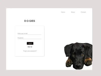 Log In page branding logo ui