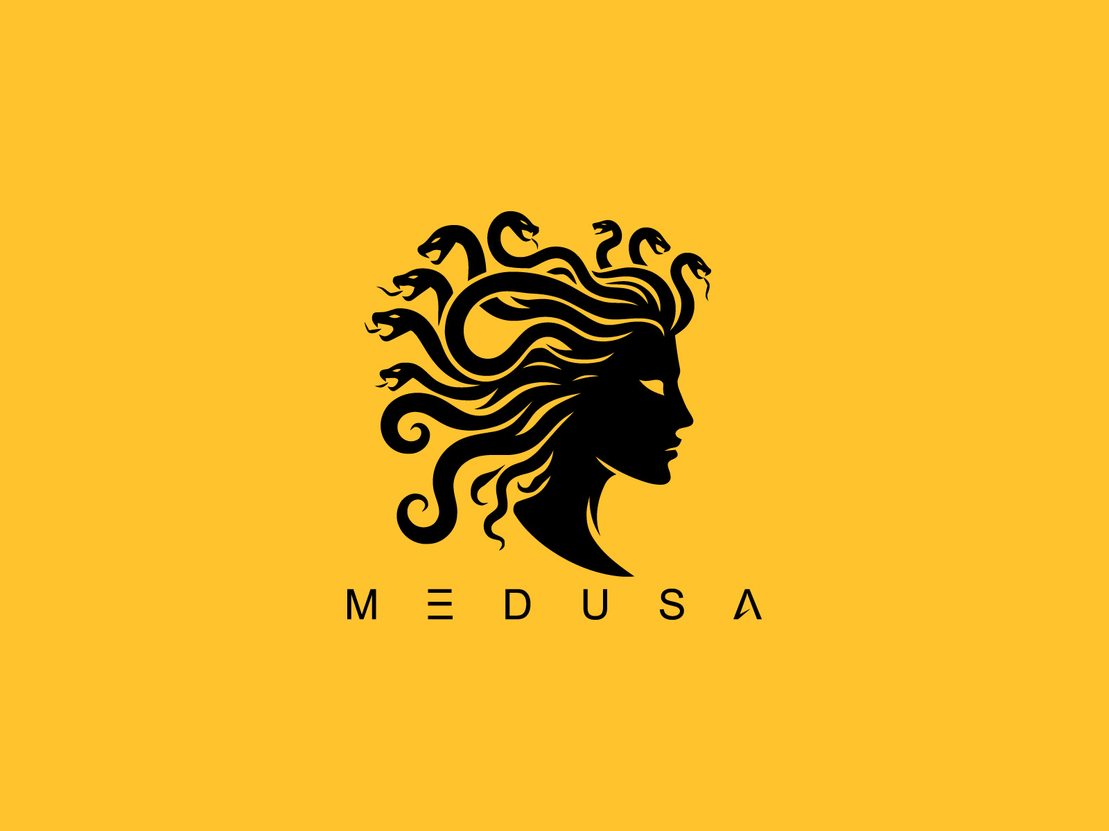 Medusa Logo by Austin Smith on Dribbble