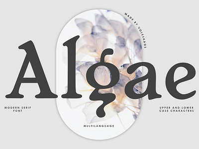 Algae Modern Serif Font algae modern serif font font font bundle font duo font typeface fonts commercial use fonts handwriting serif serif display serif font serif font bundle serif typeface