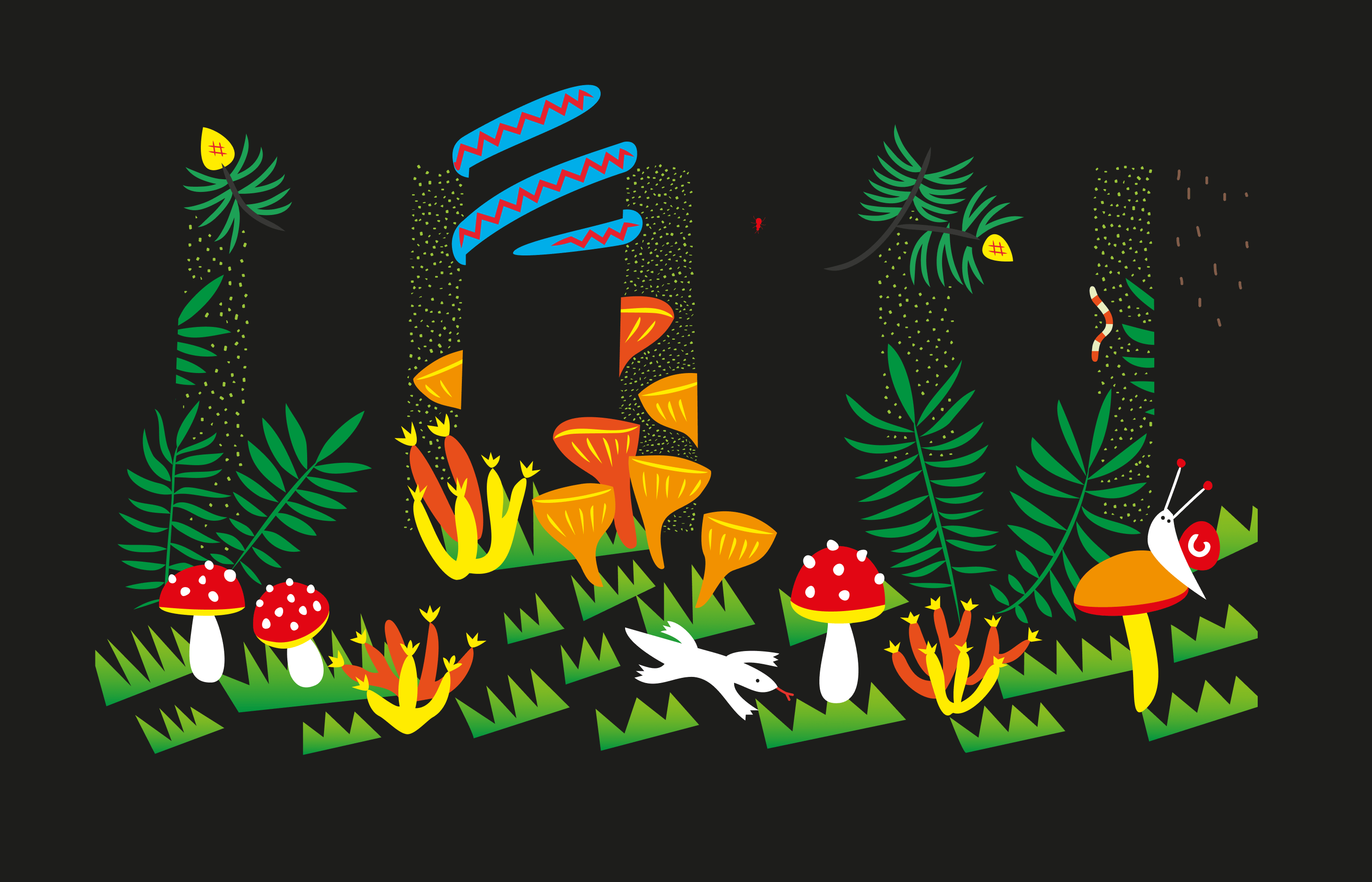 Secret forest life illustration