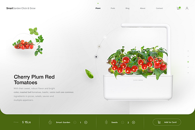 Smart Garden Project branding design graphic design landing typography ui ux web webdesign