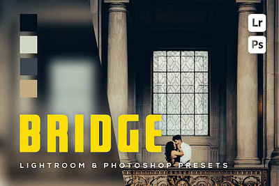 6 Bridge Lightroom and Photoshop Presets lightroom lightroom presets presets presets store