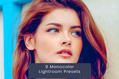 8 Monocolor Lightroom Presets lightroom lightroom presets presets presets store