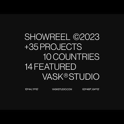 Showreel 2023 — VASK® Studio brand branding brands collection identity logo logo design logos showreel startups visual identity