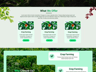 Agriculture Farm and Marketing add card agricultural farm agriculture animal husbandary animation design farm fishery food crops fruits home page illustration landing page market piscuculture poultry ui design uiux vegetable webiste