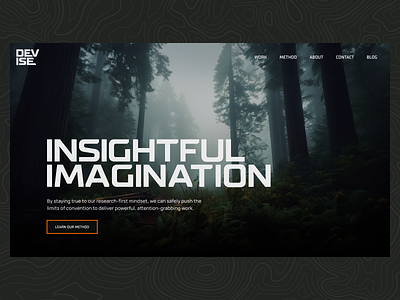Devise Agency graphic design ui ui design web design website