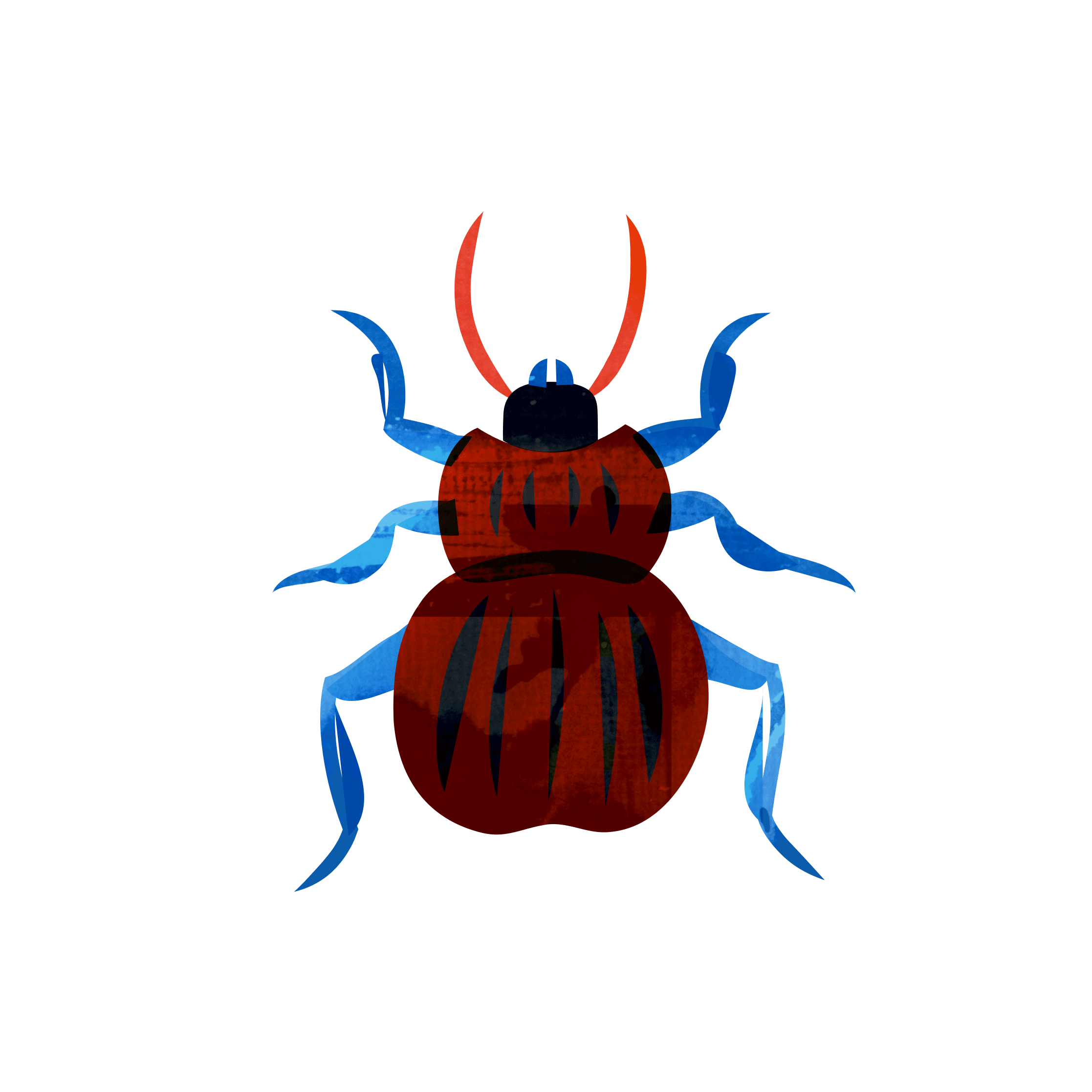 Bugs illustration nature