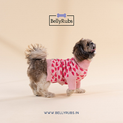 puppy accessories online