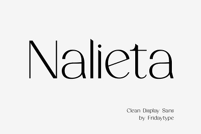 Nalieta - Clean Display Sans clean display font nalieta clean display sans sans type