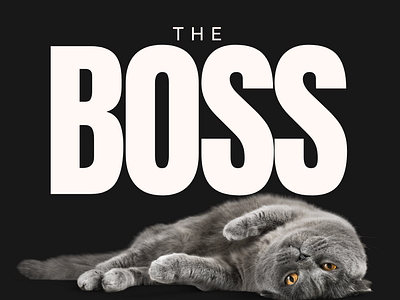 The Boss Kitty Poster design designer graphic design graphic designer photoshop poster