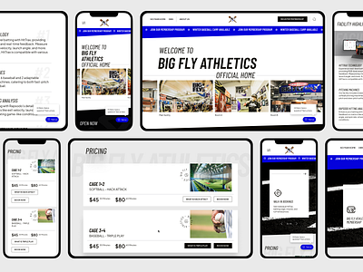 Big Fly Athletics - Web Responsive Baseball Sports athlete athletics baseball business home page interface marketing mlb mobile website responsive design responsive website sports ui user experience ux web web layout web marketing web page website design