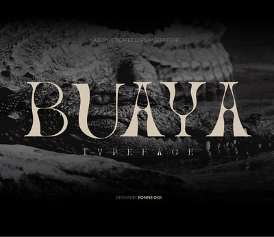 Buaya -A Sophisticated Display Serif Font branding graphic design logo