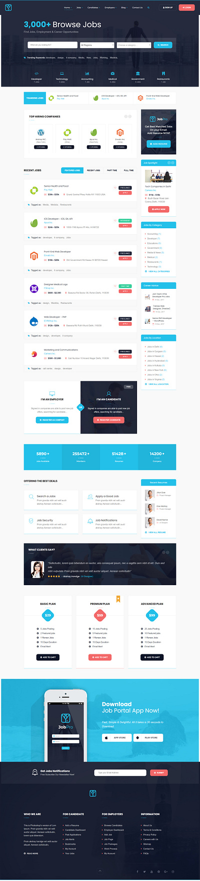 Job Directory Website design graphic design ui ux website wordpress