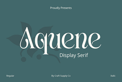 Aquene Font - Craft Supply Co brush creative design elegant font illustration lettering logo typeface ui