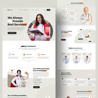 A Website Designed for BDhealth branding design illustration vector webdesign