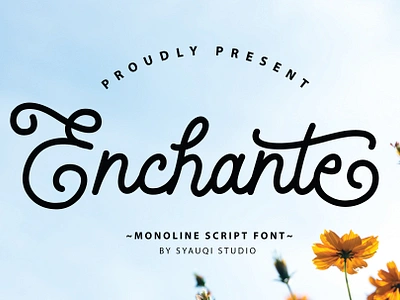 Enchante, A Monoline Script Font. art branding calligraphy design font graphic design handlettering handwriting label lettering logo monoline product packaging type typography vintage watermark