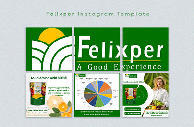 felixper instagram-template branding graphic design