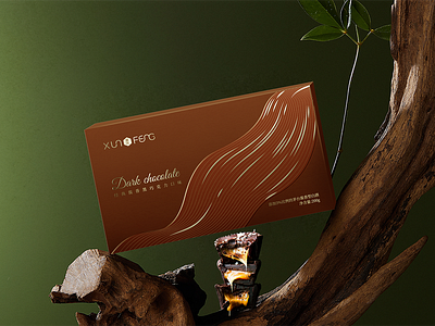 Chocolate Packaging brand chocolate packaging package design