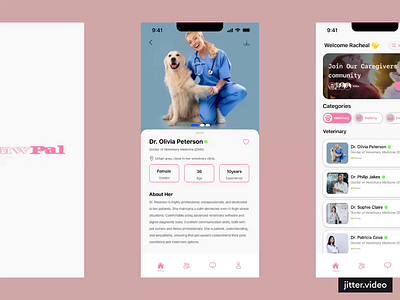 PAWPAL figma graphic design motion graphics ui user experience ux website design