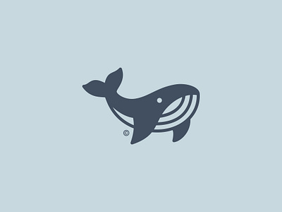 Whale Logo design graphic design logo logomark logotype symbol vector whalelogo whalelogomark whalemark whalesymbol