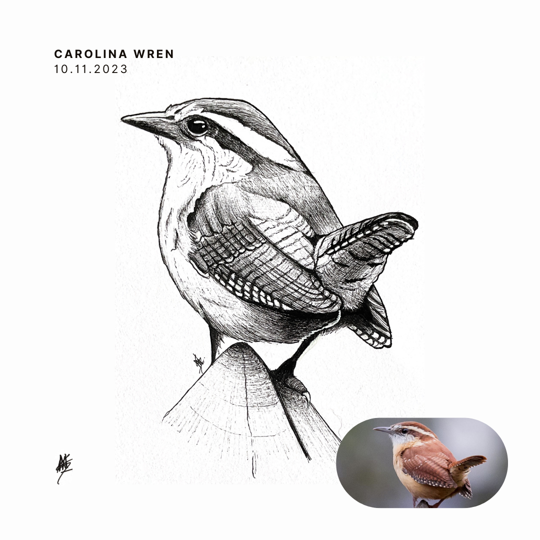 Sketches 2023 - Traditional Art art artist artistic drawing hatching illustration ink pen pen and ink sketch sketches sketching traditional vintage