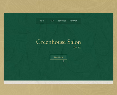 Hair Salon Website branding design ui