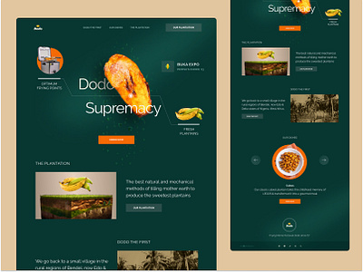 Landing page in honor of Dodo agriculture agtech dodo food food tech fried plantain hero section landing page snack ui web design