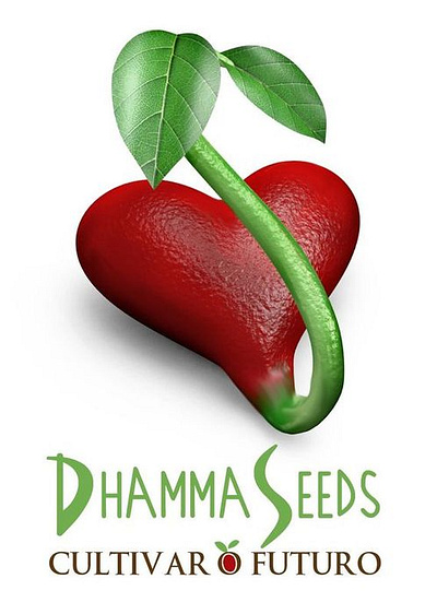 Dhamma seeds logo 3d branding design graphic design logo