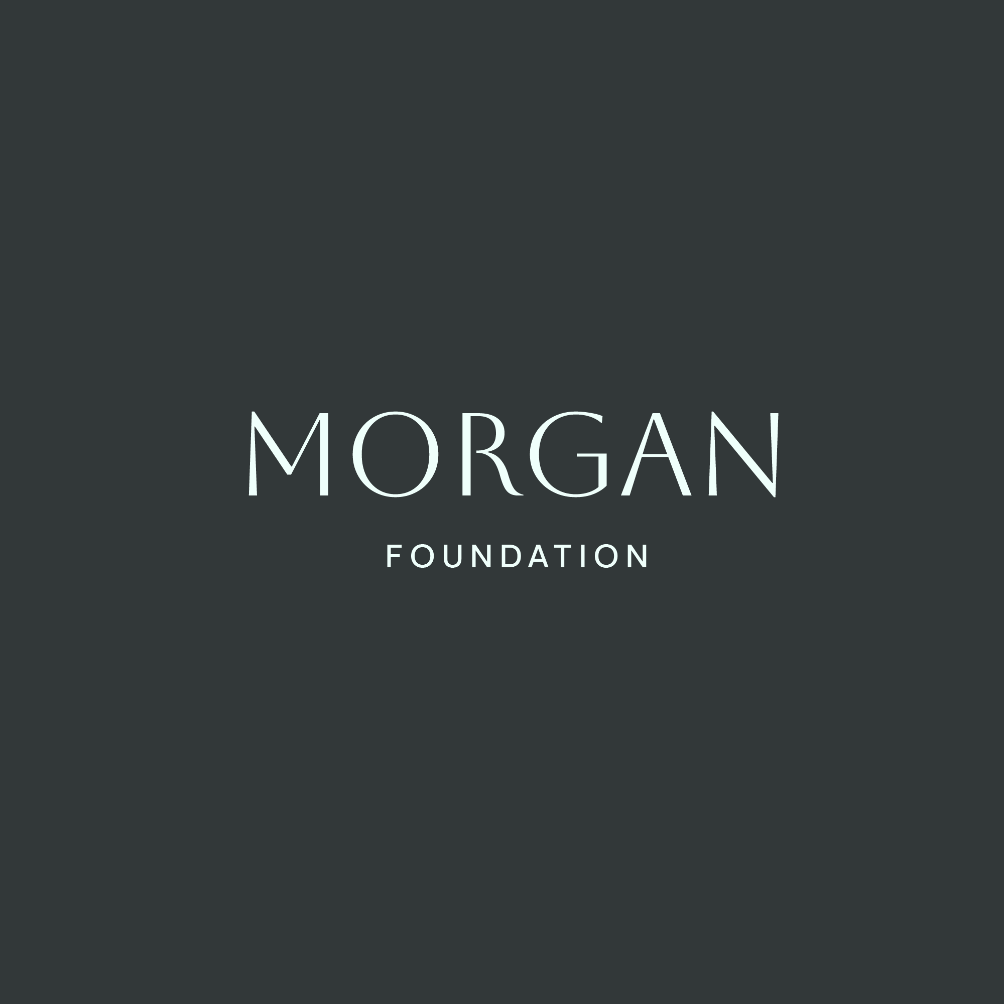 Morgan Foundation Logo branding design graphic design logo type typography