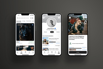 Dog adoption mobile application dog adoption app freelance ux designer ui user experience user interface ux visual design