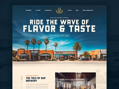 Bird Rock Landing Page Exploration beer brand design branding brewery california design graphic design landing page logo san diego ui user experience ux web web design web illustration website