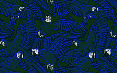 La Casa del Sol - Cotorras Print illustration print surface textile