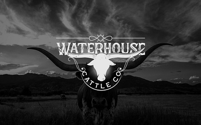 Logo design concept for "Cattle" abstract logo brand identity creative logo design graphic design logo logo design