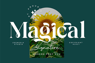 Magical Signature Font Duo clothing packaging