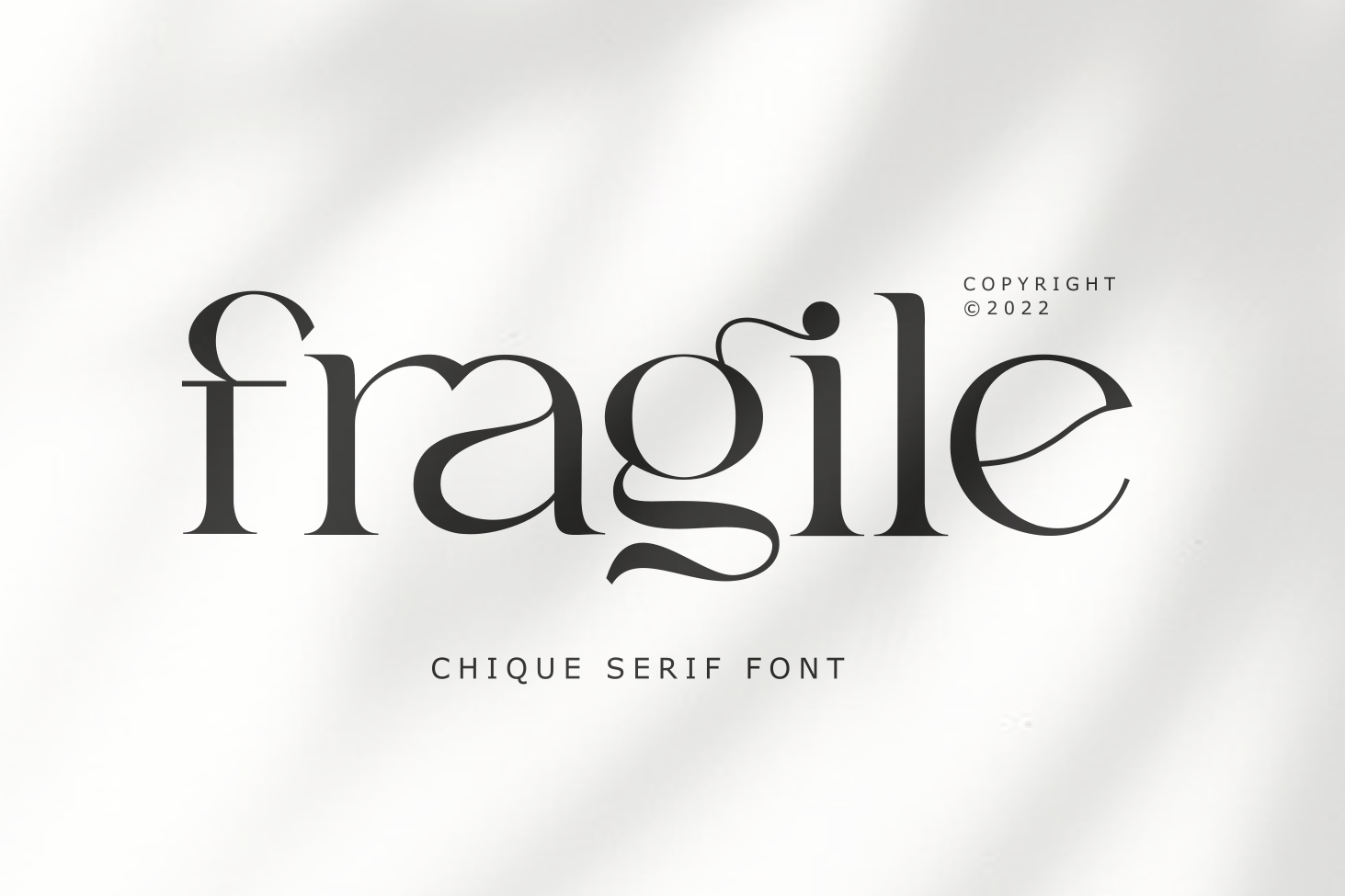 Fragile by Zeenesia Studio on Dribbble