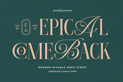 Epical Comeback Font clothing packaging