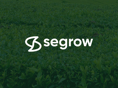 Segrow Logo & Branding Design. branding graphic design icon logo logo design sofiqul.im99 typography vector