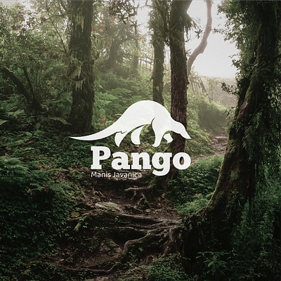 Pango Logo designlogo graphic design logo pangoline