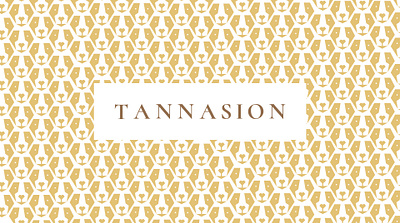 Tannasion Logo Design Animation agency animation branding creative design design services graphic design illustration logo motion graphics ui vector