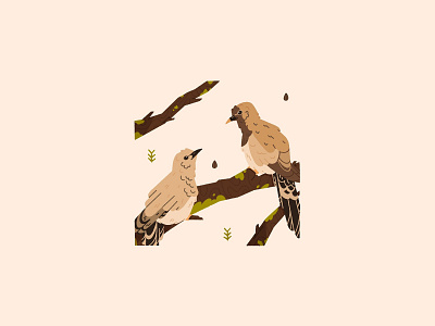 Namaqua doves aditorial adobe bird dove flat graphic design illustration nature photoshop tree wildlife